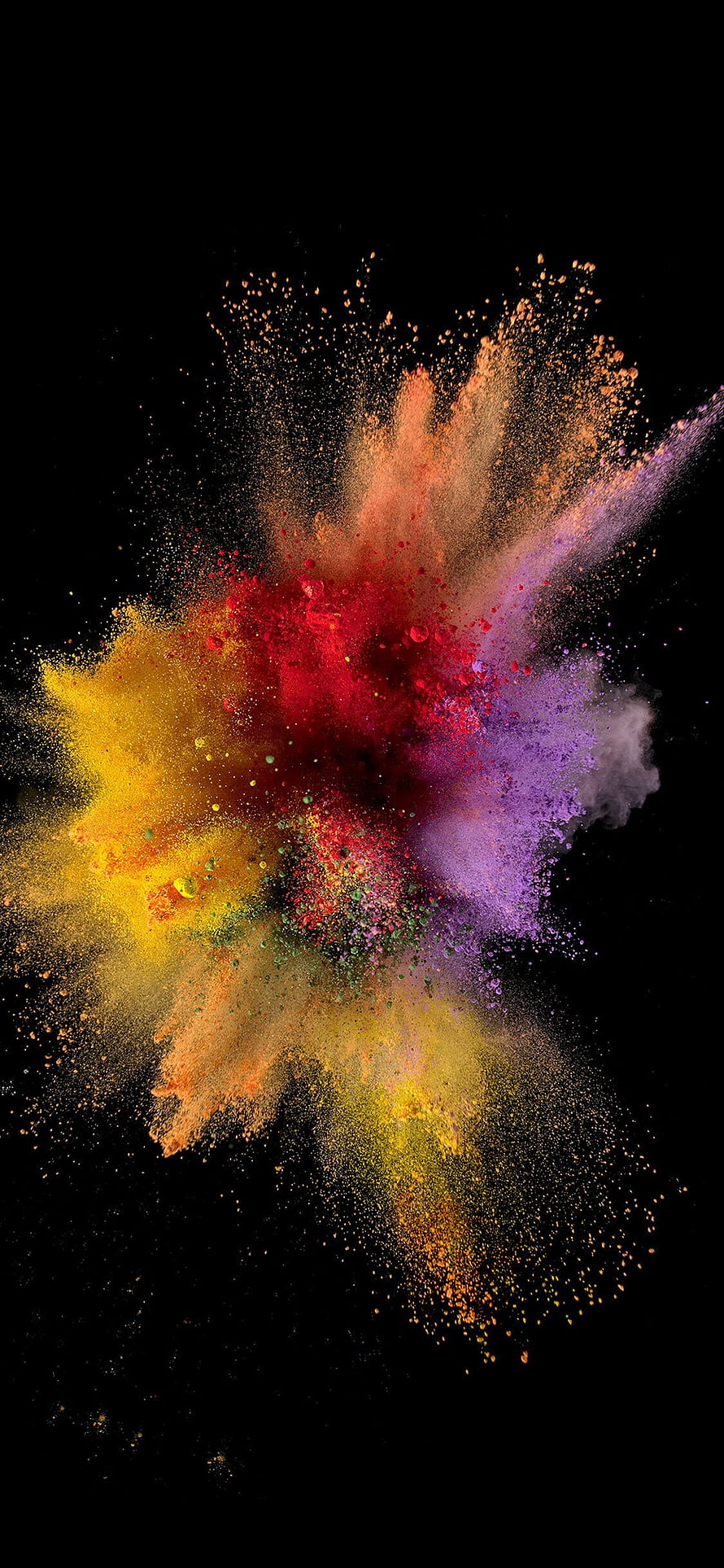 Vibrant Multicolored Powder Explosion on Black Background HD phone wallpaper