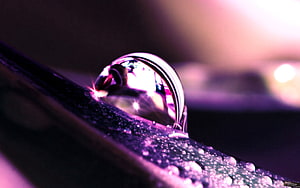 Macro Photography of a Dew Drop on a Petal with Purple and Pink Lighting HD wallpaper
