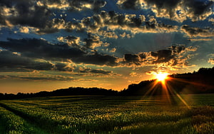 Golden Sunrise Over a Vast Green Wheat Field with Dramatic Clouds and Sun Rays HD wallpaper