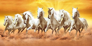 Seven White Horses Galloping Through Golden Dust in Dramatic Vastu Art HD wallpaper