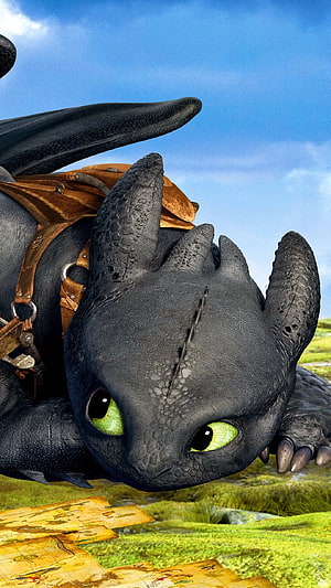 Toothless Dragon from How to Train Your Dragon Resting on Ancient Map HD phone wallpaper
