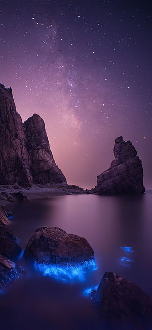 Bioluminescent Waves and Milky Way Over Rocky Coastline at Night HD phone wallpaper
