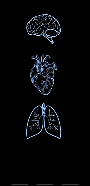 Glowing Blue Anatomical Illustrations of Brain, Heart, and Lungs on Black Background HD phone wallpaper