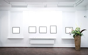 Minimalist White Gallery Interior With Empty Frames And Floral Arrangement HD wallpaper