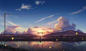 Anime Countryside Sunset Over Rice Paddies With Torii Gate And Fireflies HD wallpaper