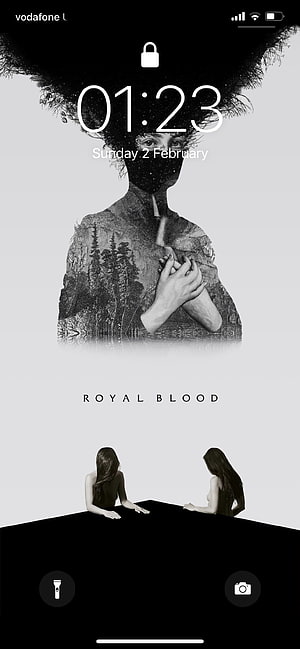 Royal Blood Album Art Double Exposure Portrait with Forest Landscape and Twin Figures HD phone wallpaper