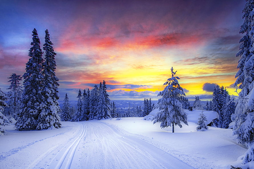 Vibrant Winter Sunset Over Snowy Norwegian Forest With Ski Tracks HD wallpaper