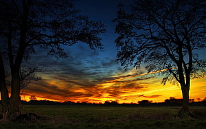 Dramatic Sunset Over Rural Countryside with Silhouetted Trees and Golden Horizon HD wallpaper