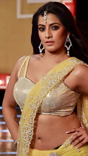Varalakshmi in a yellow embroidered saree with gold blouse and traditional jewelry HD phone wallpaper