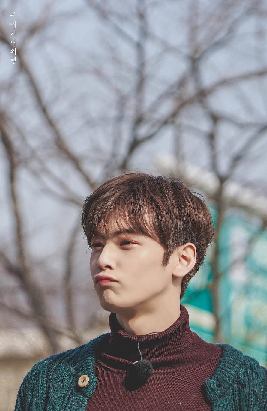 Cha Eun-woo of ASTRO in a Maroon Turtleneck and Green Cardigan Against a Blurred Tree Background HD phone wallpaper
