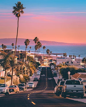 Sunset View of a Coastal Street in Los Angeles with Palm Trees and Ocean Horizon HD phone wallpaper