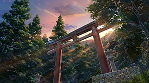 Your Name Anime Scene Featuring a Traditional Torii Gate in a Lush Forest at Sunset HD wallpaper