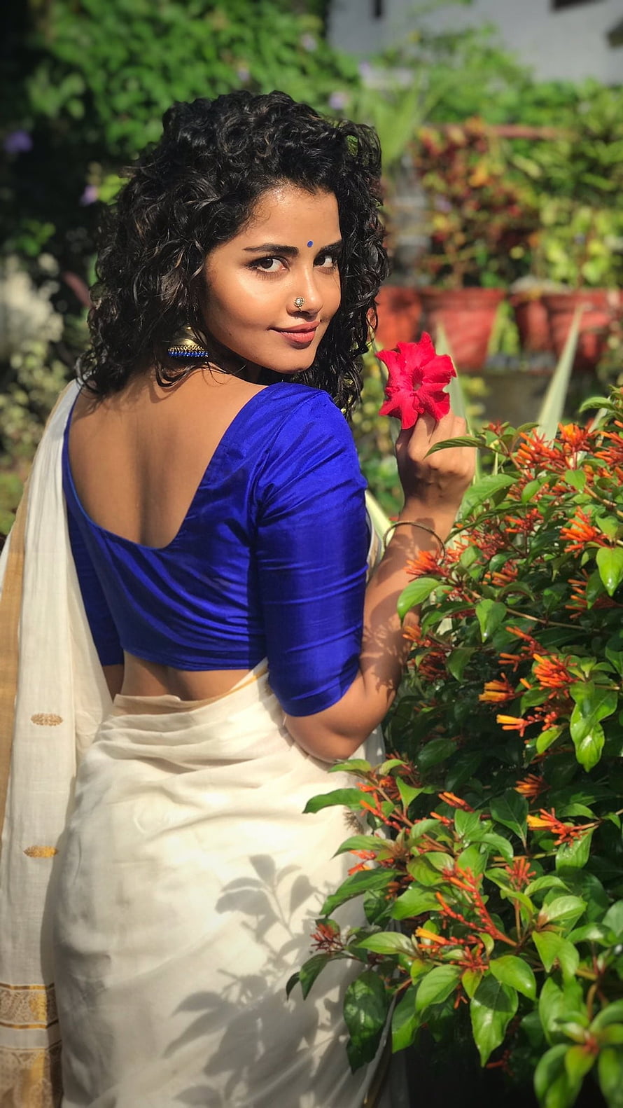 Anupama Parameswaran in a blue blouse and white saree holding a red flower in a garden HD phone wallpaper