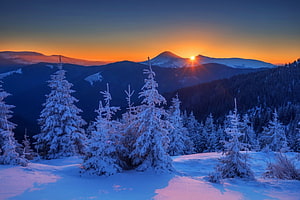 Snow-Covered Evergreens and Mountain Ranges at Winter Sunset HD wallpaper