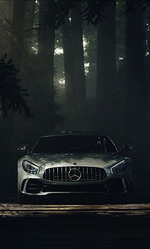 Mercedes-AMG GT Front View in a Dark Misty Forest with Dramatic Lighting HD phone wallpaper