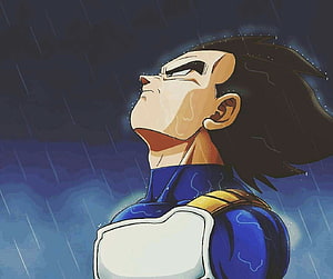 Vegeta in the Rain from Dragon Ball Z and Dragon Ball Super Anime HD wallpaper