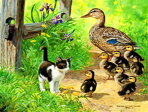 Kitten and Ducklings Meeting in a Garden with Iris Flowers and Wooden Fence HD wallpaper