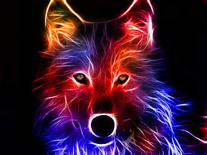 Neon Electric Wolf Portrait with Vibrant Red Blue and Purple Light Effects on Black Background HD wallpaper
