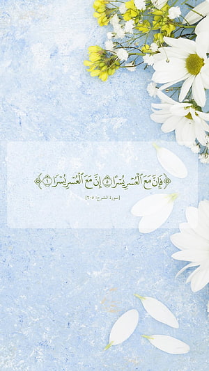 Elegant Quranic Verse with White Daisies and Petals on Soft Blue Background HD phone wallpaper