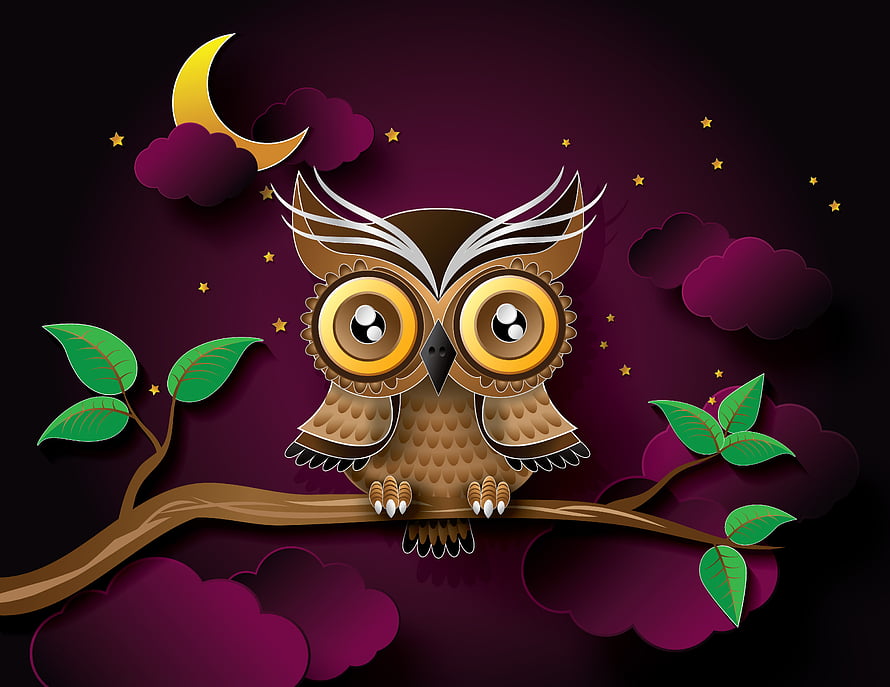 Cute Cartoon Owl Perched on Branch Under Crescent Moon and Starry Night Sky HD wallpaper