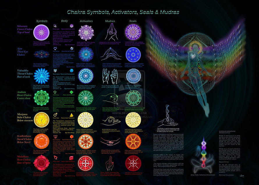 Seven Chakra System Infographic with Symbols, Mudras, Seals and Activators HD wallpaper