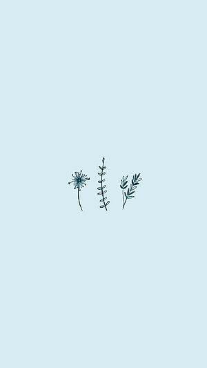 Minimalist Botanical Line Art on Soft Light Blue Background HD phone wallpaper