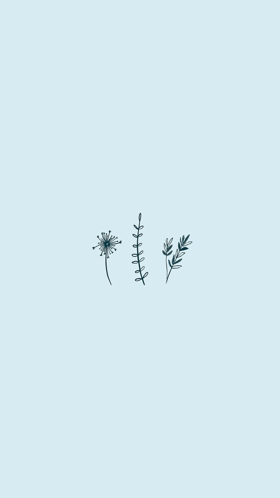 Minimalist Botanical Line Art on Soft Light Blue Background HD phone wallpaper