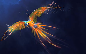 Vibrant Macaw in Flight with Dynamic Paint Splashes on Dark Background HD wallpaper