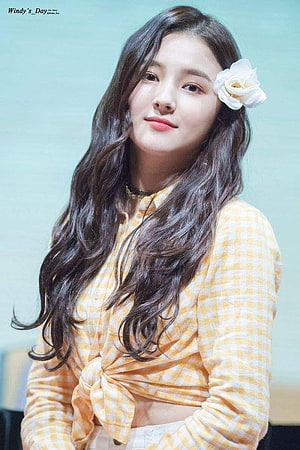 Nancy Jewel McDonie in Yellow Plaid Top with White Rose Hair Accessory HD phone wallpaper