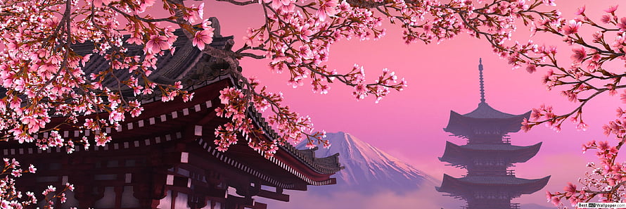 Cherry Blossoms Framing a Japanese Pagoda and Mount Fuji Under a Pink Sky HD wallpaper