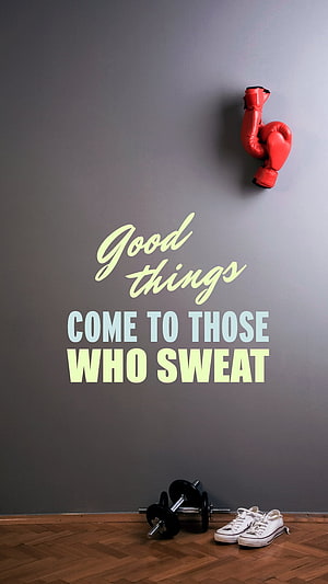 Gym Wall Decor With Red Boxing Gloves, Dumbbells, and Sneakers HD phone wallpaper
