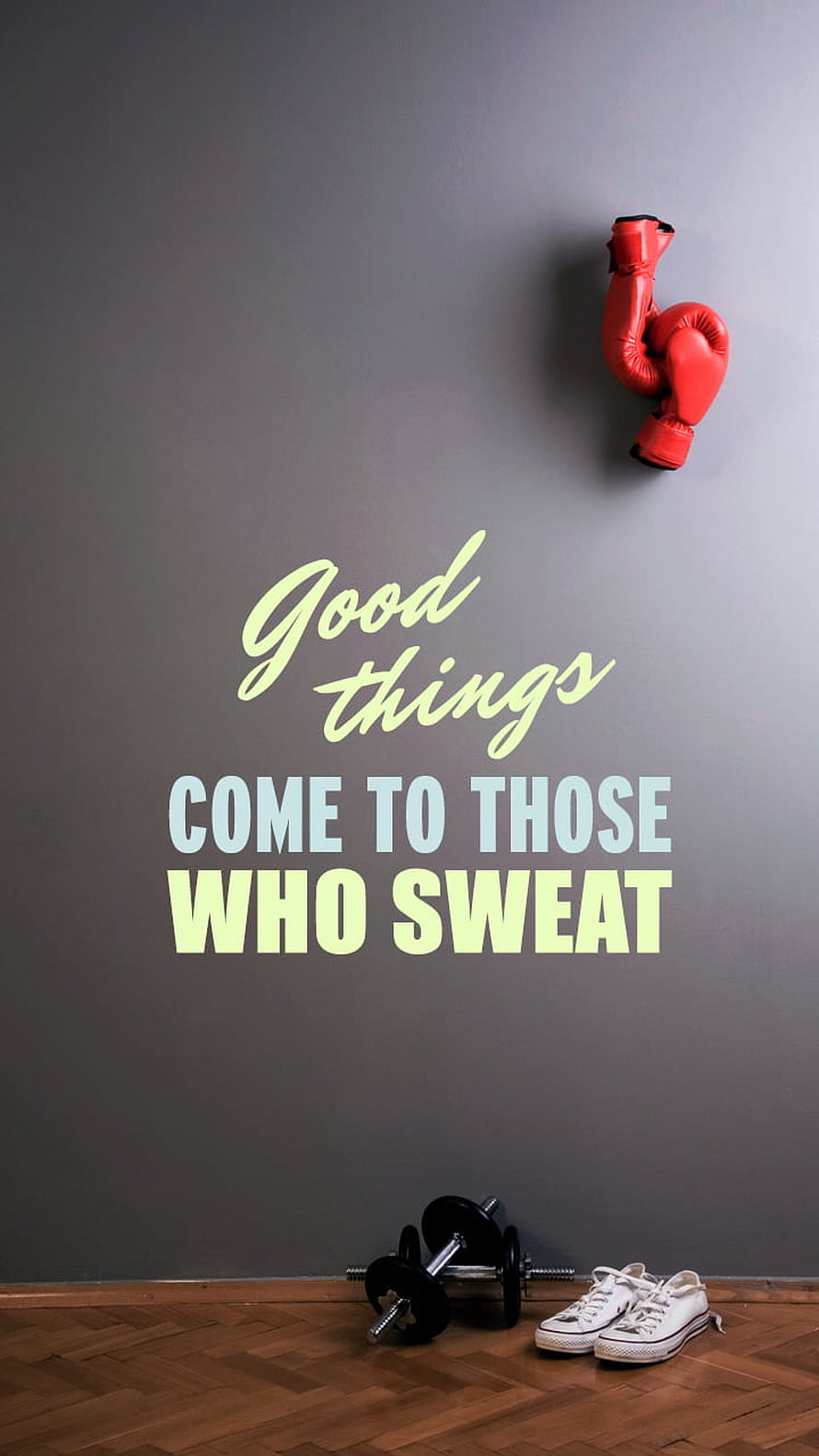 Gym Wall Decor With Red Boxing Gloves, Dumbbells, and Sneakers HD phone wallpaper