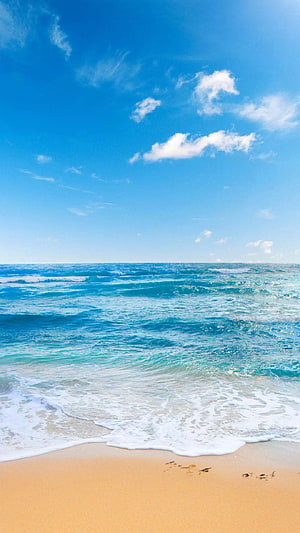Serene Tropical Beach with Turquoise Ocean Waves and Golden Sand Under a Bright Blue Sky HD phone wallpaper