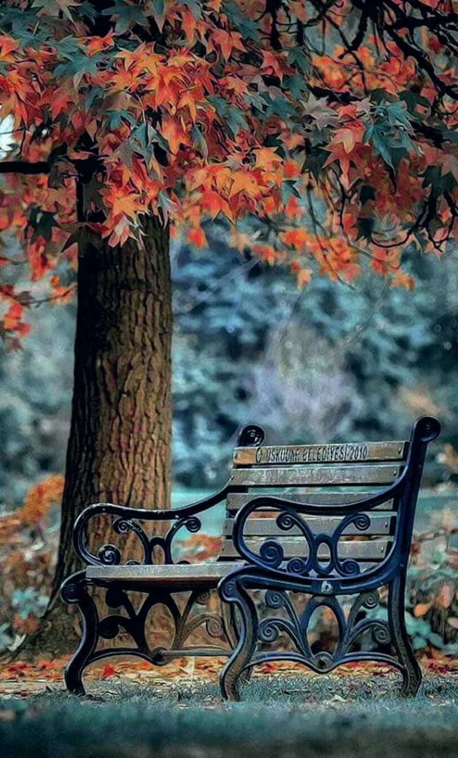 Ornate Park Bench Under Vibrant Autumn Maple Tree in Serene Garden Setting HD phone wallpaper
