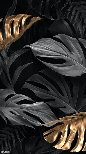 Monstera Deliciosa leaves in gold and black with dramatic tropical botanical aesthetic HD phone wallpaper
