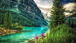 Turquoise Mountain Lake Surrounded by Dense Evergreen Forest and Rocky Cliffs HD wallpaper