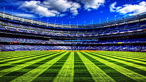 Vibrant Green Football Field Inside a Large Blue Seated Stadium Under a Bright Sky HD wallpaper