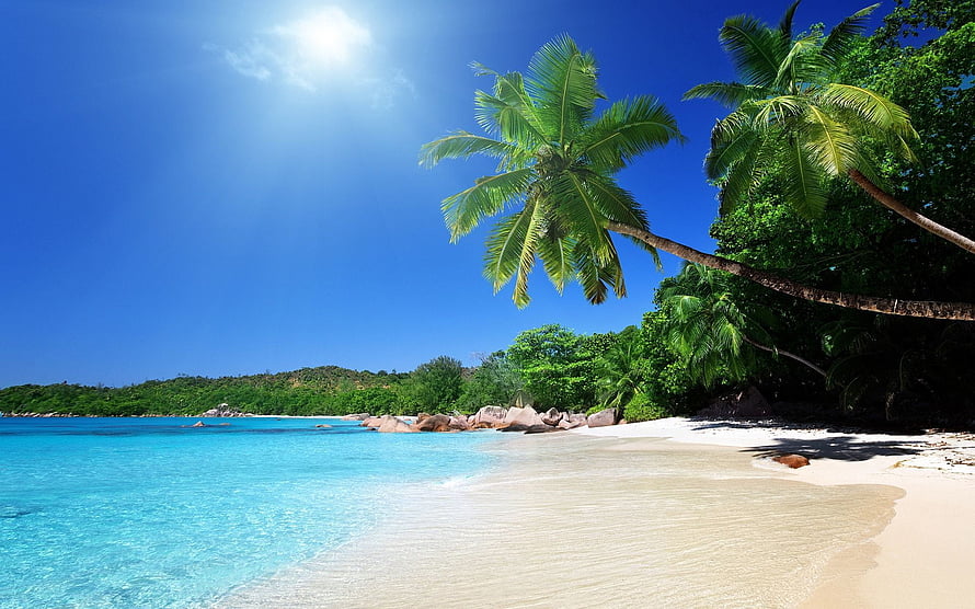 Tropical Island Beach with Turquoise Water, White Sand, and Leaning Palm Trees Under a Bright Blue Sky HD wallpaper