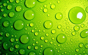 Vibrant Green Water Droplets on a Textured Surface HD wallpaper