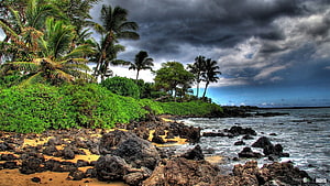 Dramatic Tropical Coastline with Palm Trees and Rocky Shore Under Stormy Sky HD wallpaper