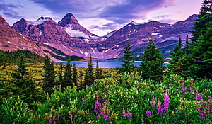 Majestic Mountain Range and Alpine Lake at Dusk with Wildflowers HD wallpaper