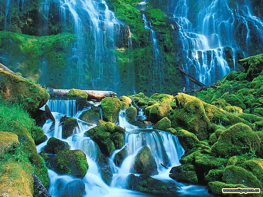Mossy Forest Waterfall with Flowing Streams and Lush Green Rocks HD wallpaper