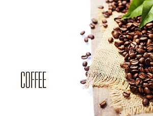 Rustic Coffee Beans on Burlap with Fresh Green Leaves and White Background HD wallpaper