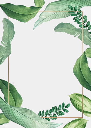 Watercolor Tropical Leaf Frame with Gold Border on White Background HD phone wallpaper