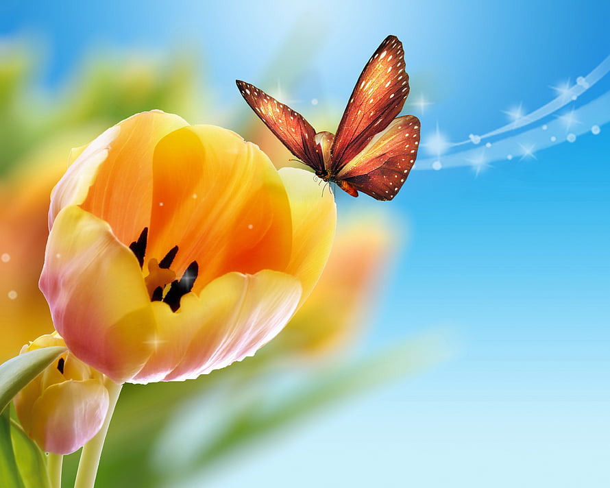 Vibrant orange tulip with a brown butterfly against a bright blue spring sky HD wallpaper