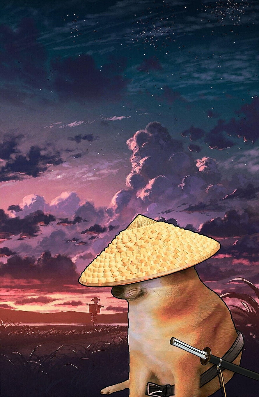 Samurai Dog in Conical Hat Under Dramatic Sunset Sky HD phone wallpaper