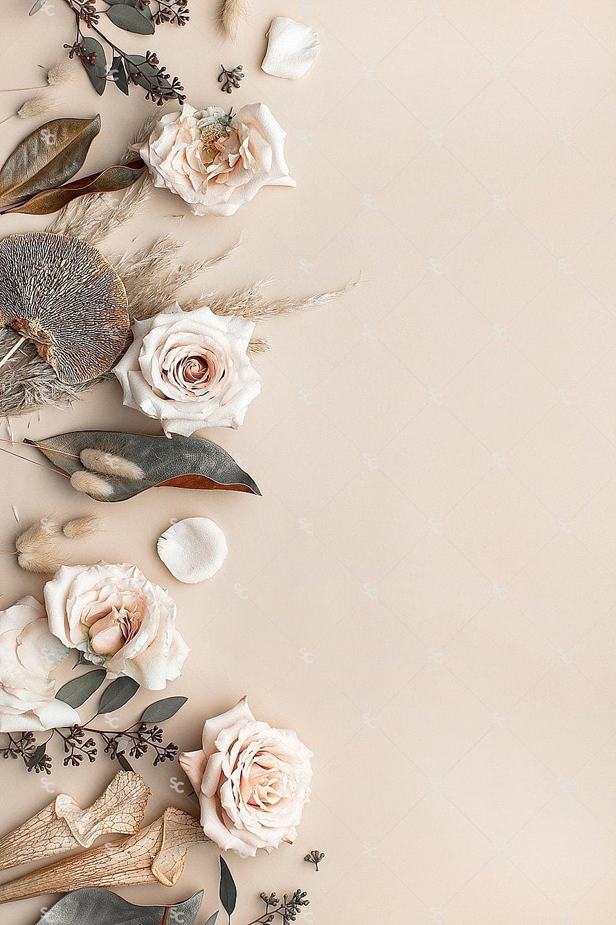 Elegant Dried Rose and Pampas Grass Floral Arrangement on Beige Background HD phone wallpaper