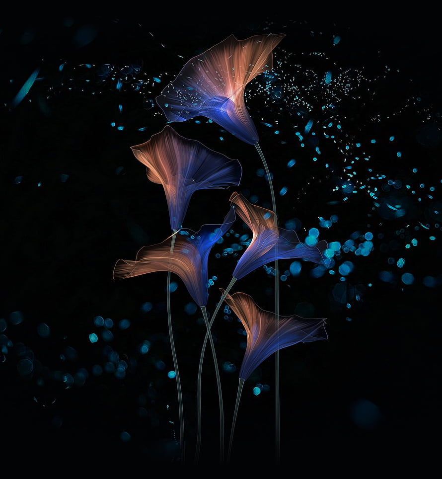 Glowing Abstract Flowers with Blue Particles on Dark Background HD phone wallpaper