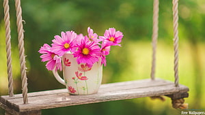 Pink Cosmos Blooms in a Floral Mug on a Rustic Wooden Swing HD wallpaper