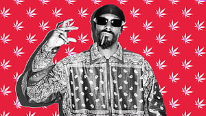 Snoop Dogg in Bandana Jacket and Sunglasses Against Red Cannabis Leaf Pattern HD wallpaper